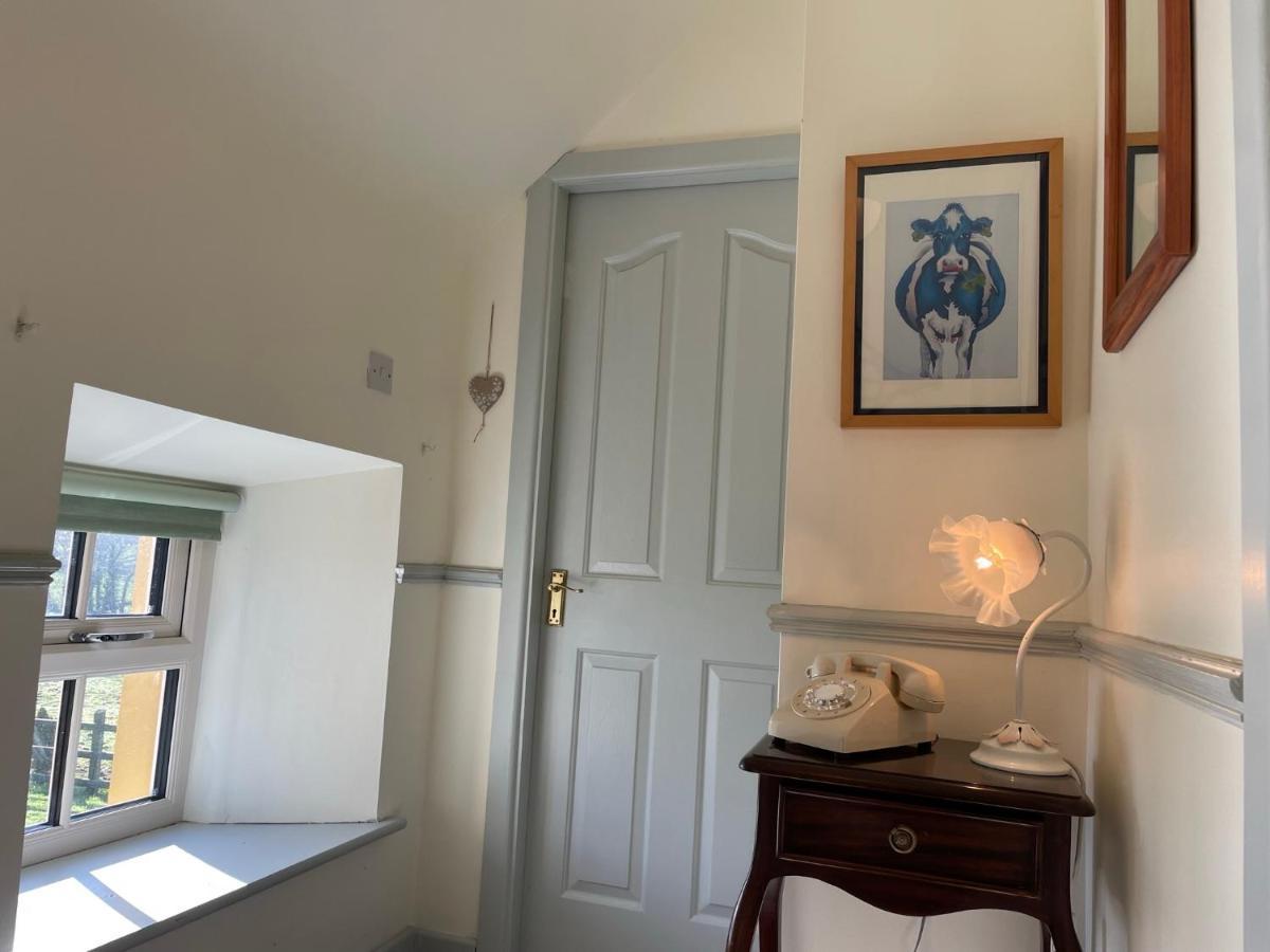 Mai'S Cottage Suite - Charming Holiday Rental Kilmallock Luaran gambar